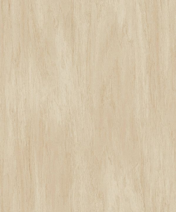 The Woods and Wicker Wood Effect Motif Beige Wallpaper WW22220