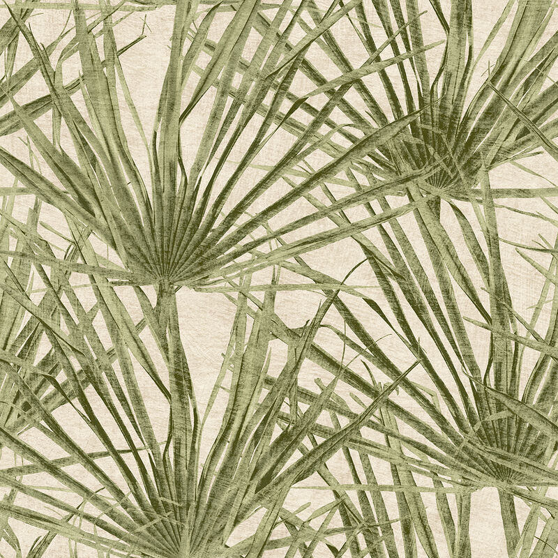 Palm Wallpaper image number 0