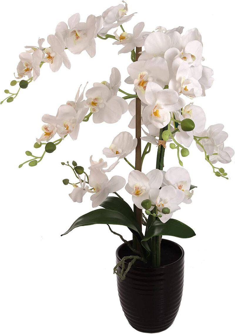 Larksilk 25 Inch Phalaenopsis Orchid with Black Ceramic Vase - Stunning Lifelike Silk Orchid Flower Arrangement - 17” Diameter - Elegant Home & Office Decor