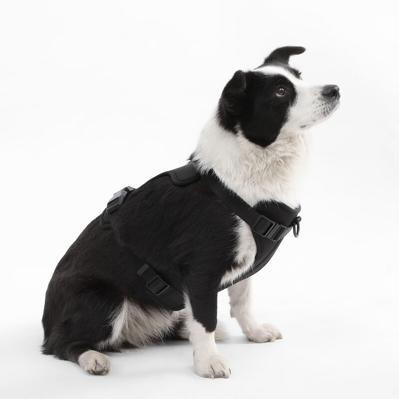 Arlo Adjustable Soft Padded No Pull Pet Harness with 3 Buckles and 3 Leash Clips