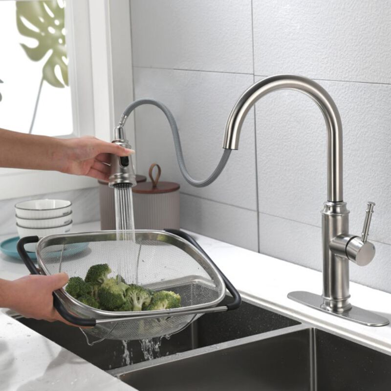 Single Handle High-Arc Kitchen Faucet with Pull-Out Sprayer