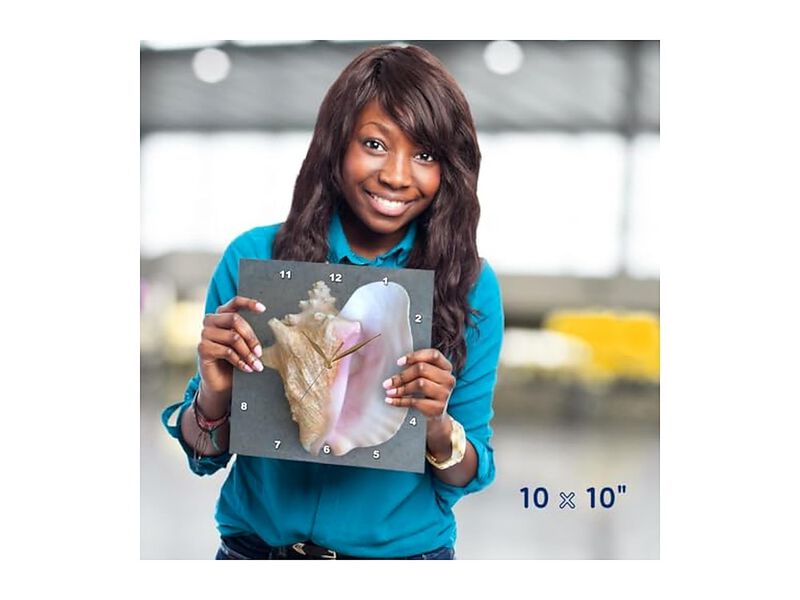 Conch Shell Wall Clock 10 Inch Home Decor image number 1