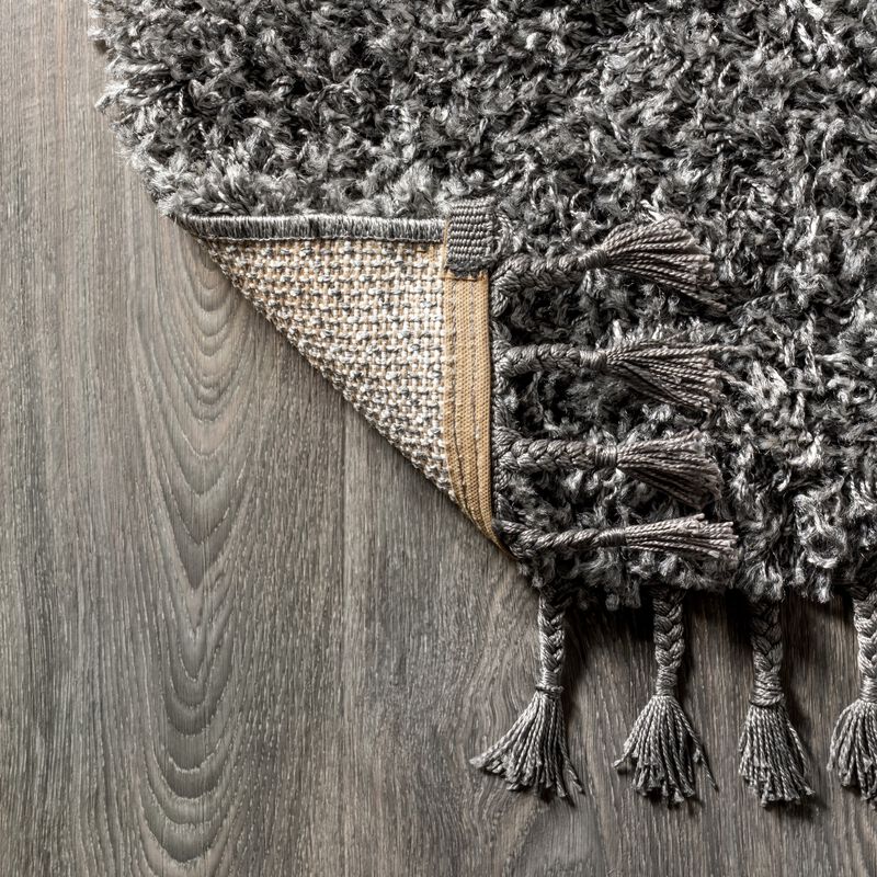 Mercer Shag Plush Tassel Area Rug