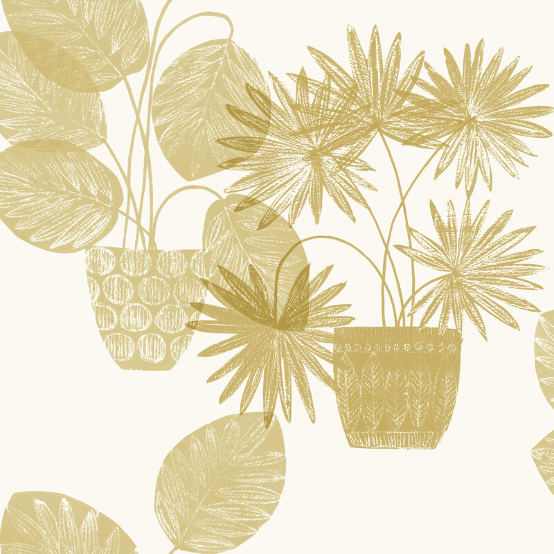 Aida Gold Potted Plant Wallpaper image number 0