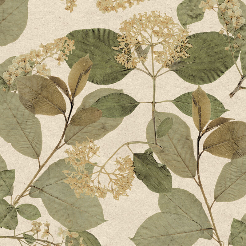 Castanum Bloom Wallpaper image number 0
