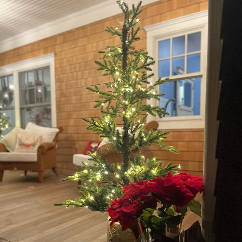 5 Foot Pre-lit Timberland Fir Potted Christmas Tree image number 1