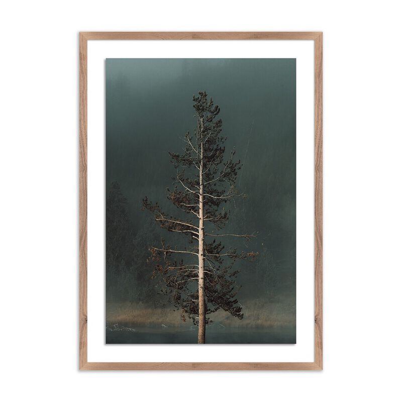 Winds I by Mandy Steinback image number 0
