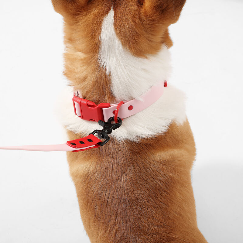 Luna  Adjustable 6-in-1 Waterproof Hands-Free Leash and Collar with LED Flashlight