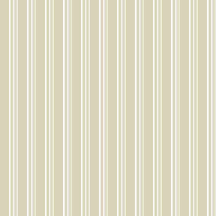Little Explorers 2 Stripe Green Wallpaper 12385