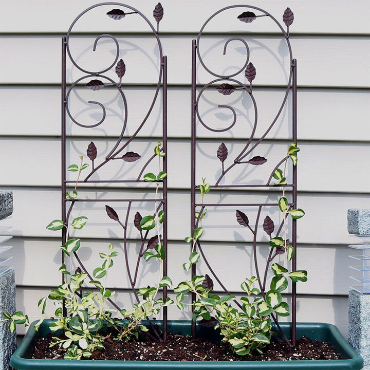 Sunnydaze 32 in Brown Steel Wire Swirl Leaf Garden Plant Trellis - Set of 2