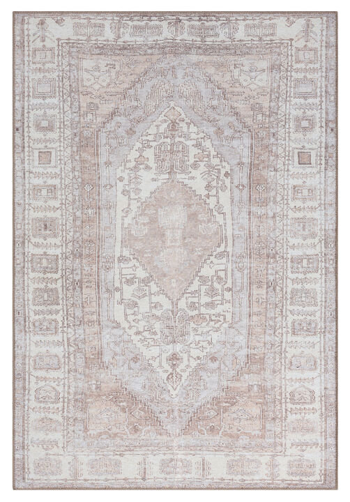 Aneesa Beige and Cream Traditional Distressed Washable Rug