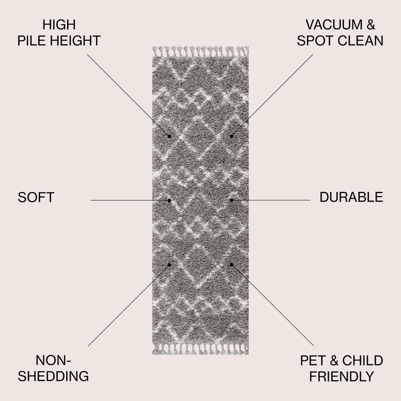 Mercer Shag Plush Tassel Moroccan Tribal Geometric Trellis Area Rug