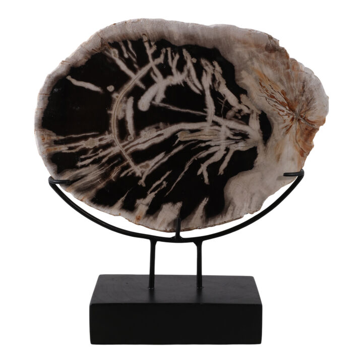 Petrified Wood Disc On Stand