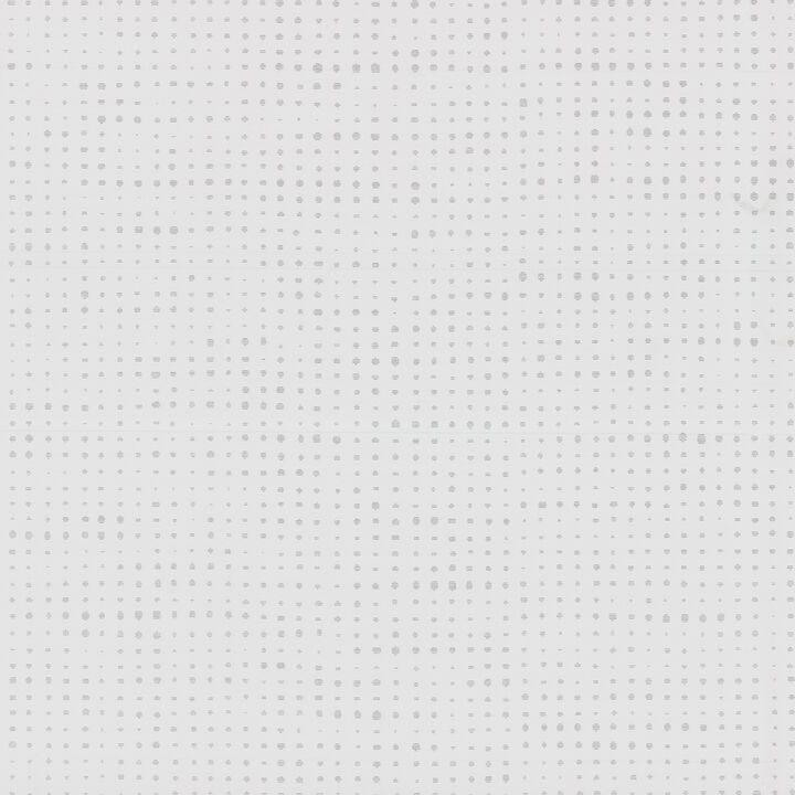 Brielle Silver Polka Dot Wallpaper