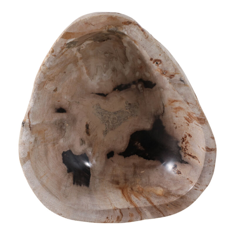 9x4" Petrified Wood Bowl, Ivory/tan image number 5