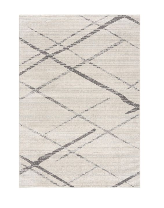 HomeRoots Abstract Area Rug