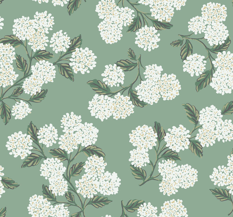 Hydrangea Jade Wallpaper