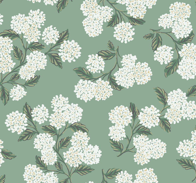 Hydrangea Rifle Paper Co. Wallpaper image number 3