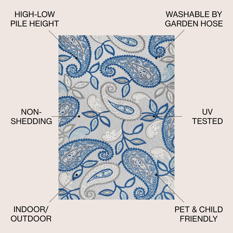 Julien Paisley High-Low Indoor/Outdoor Area Rug