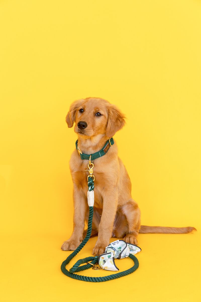 Sam Rope Dog Leash image number 1