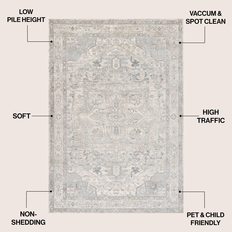 Modern Vintage Medallion Indoor Area Rug image number 2