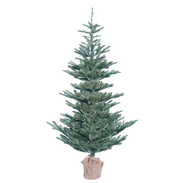 Vickerman G160450 Alberta Blue Spruce Christmas Tree