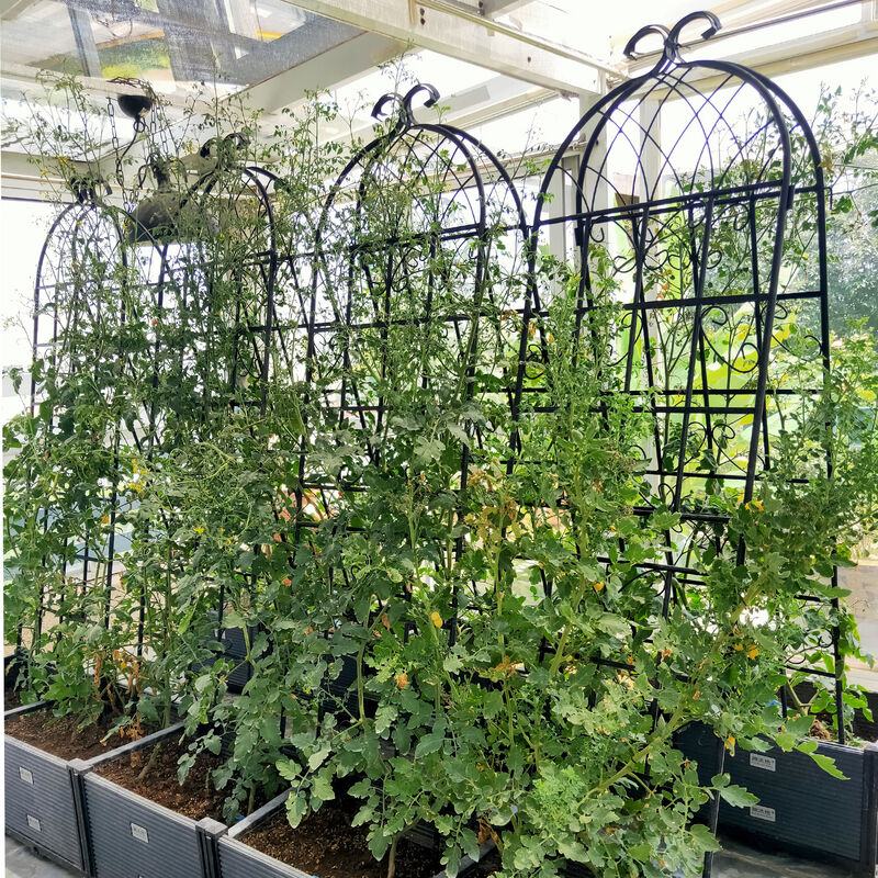 Streamdale Metal Garden Trellis 71" x 19.7" for Climbing Plants