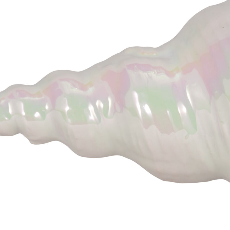 12" Long Iridescent Seashell image number 4