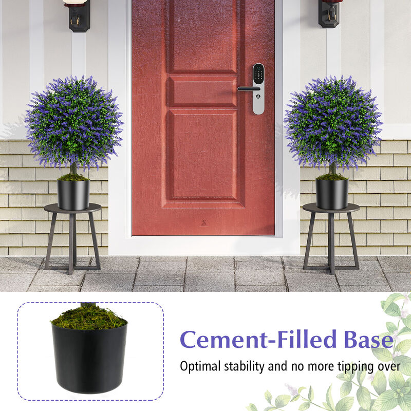Lavender Topiary Ball Trees, Set of 2, with Cement-Filled Decorative Pots