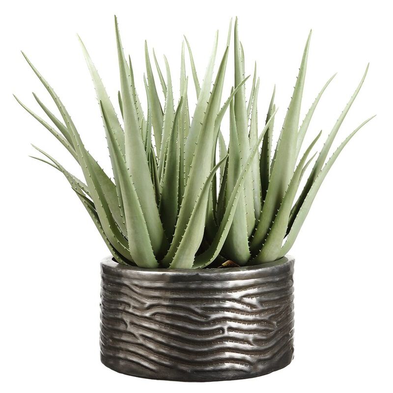 Agave Plant in Ribbed Planter