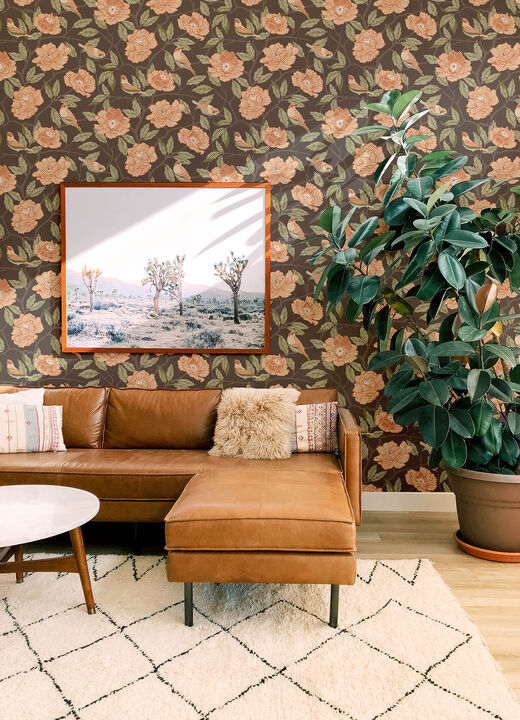 Bernadina Black Rosebush Wallpaper