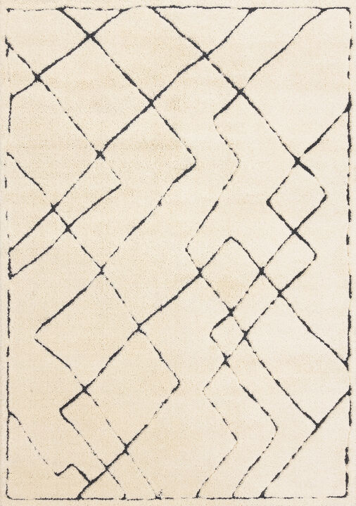 HomeRoots Area Rug