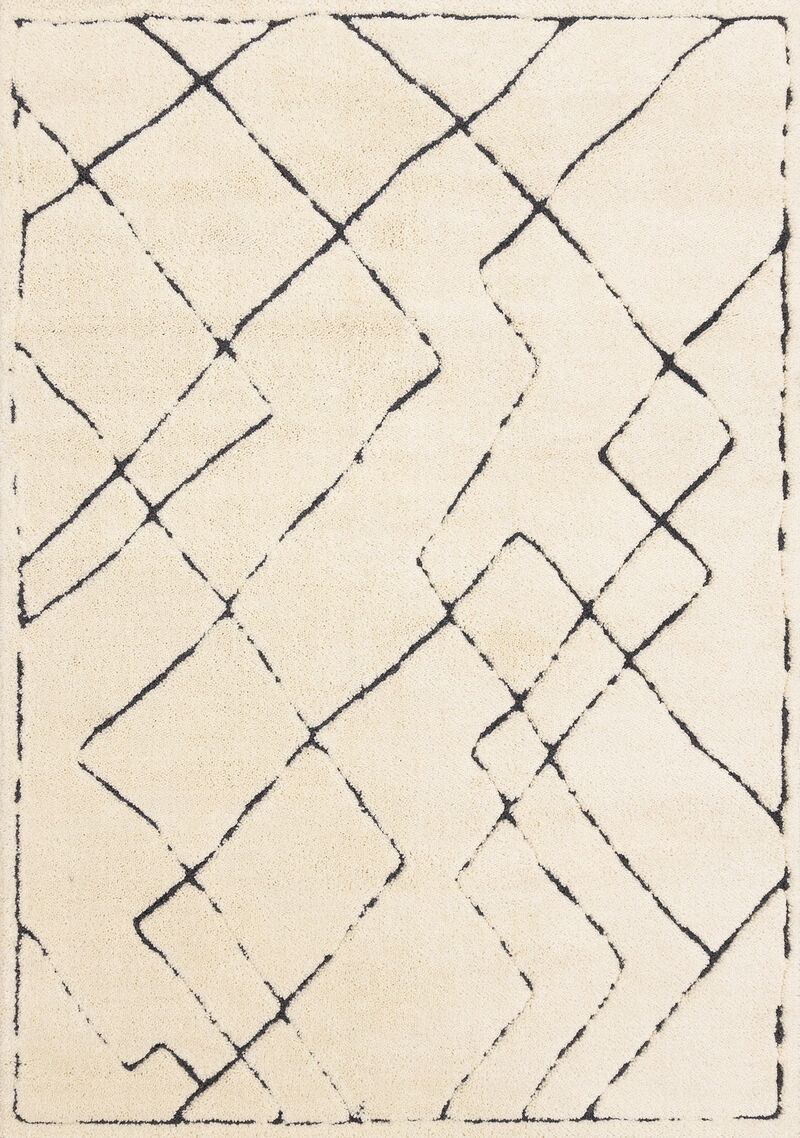 HomeRoots Area Rug image number 0
