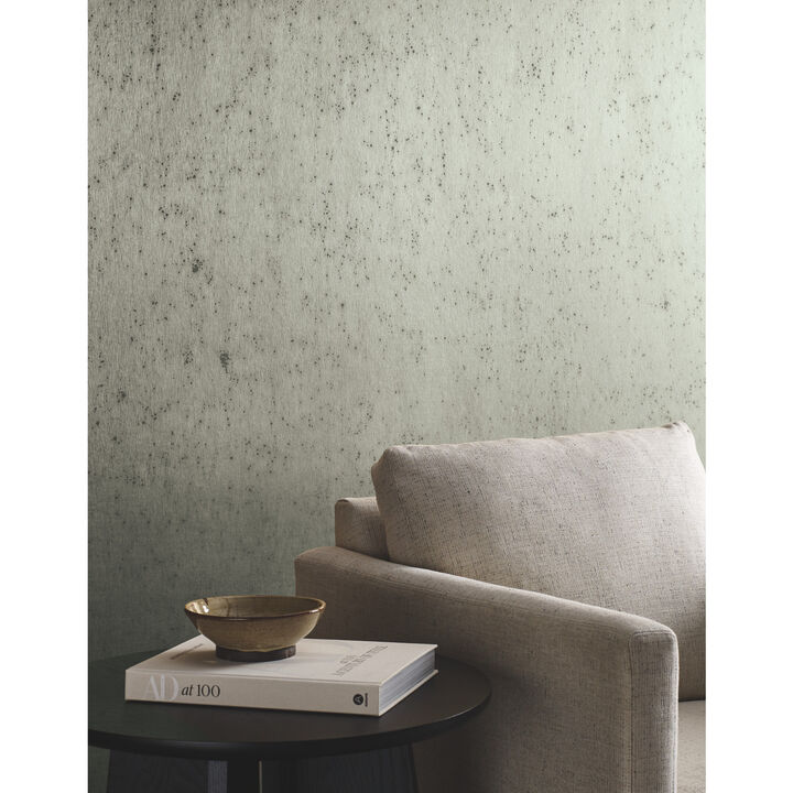 Burnished Patina Silver Wallpaper