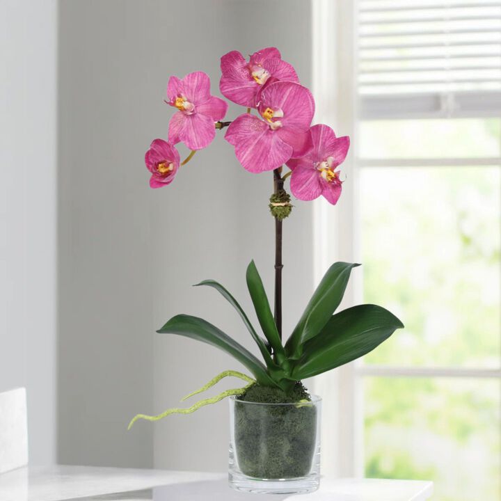 Faux Orchid Plant in Glass Vase