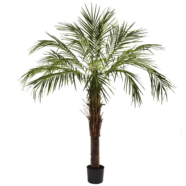 HomPlanti 6 Feet Robellini Palm Tree