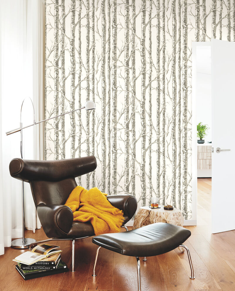Paper Birch White & Grey Wallpaper image number 1