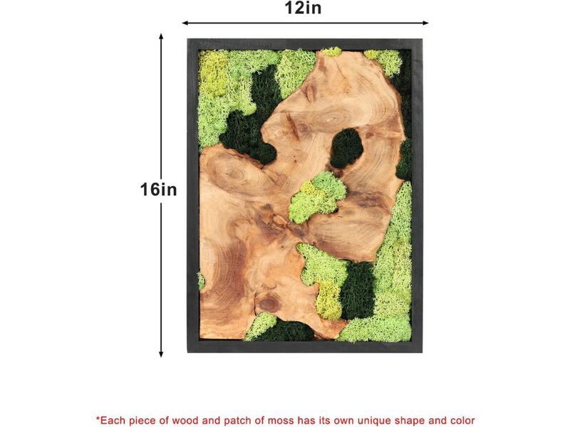 Natural Preserved Moss Wall Art Rustic Wood Handcrafted Decor for Living Room Set image number 2
