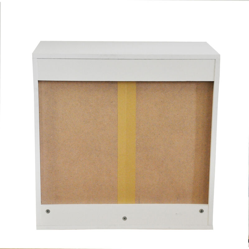 24 in. W x 12 in. D x 24 in. H Bathroom Storage Wall Cabinet in White Titanium