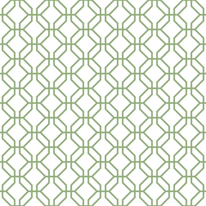 Secret Garden Trellis Positive Green Wallpaper G78528