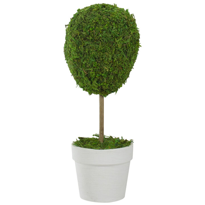 14" Green Reindeer Moss Ball Potted Artificial Spring Topiary Tree