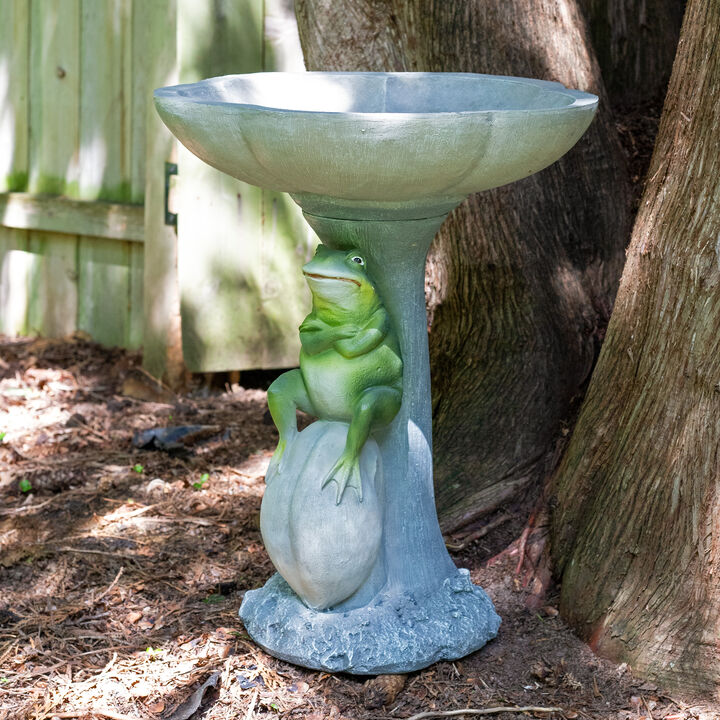 Sunnydaze Polyresin Brooding Frog on Stone Outdoor Garden Bird Bath - 22 in