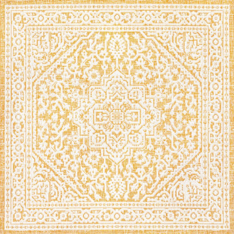 Sinjuri Medallion Textured Weave Area Rug