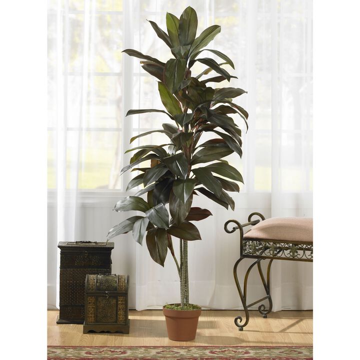 Nearly Natural 5-ft Cordyline Plant (Real Touch)