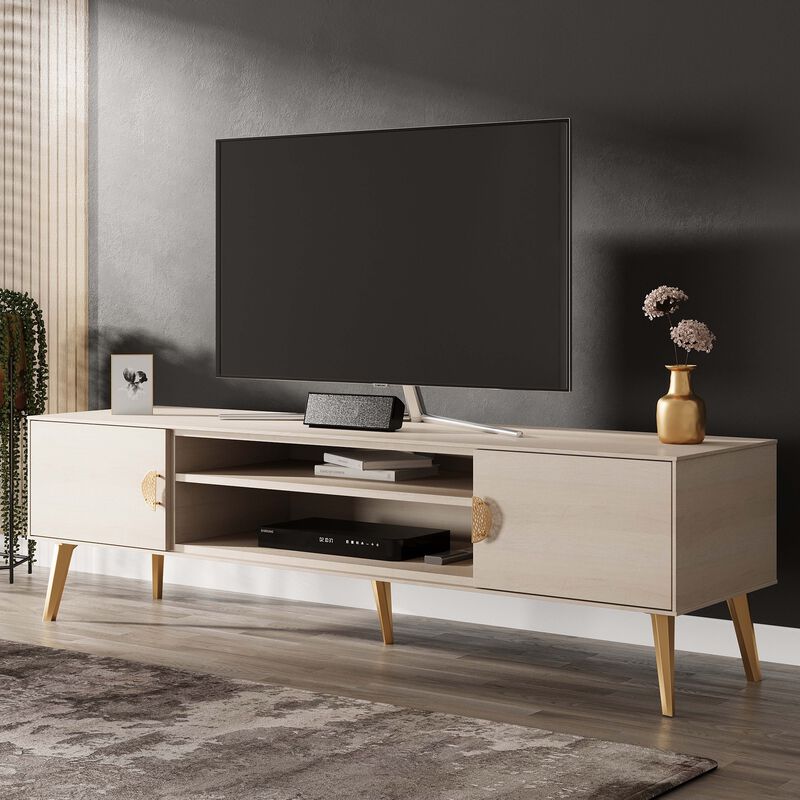 Haley Large TV Stand in White