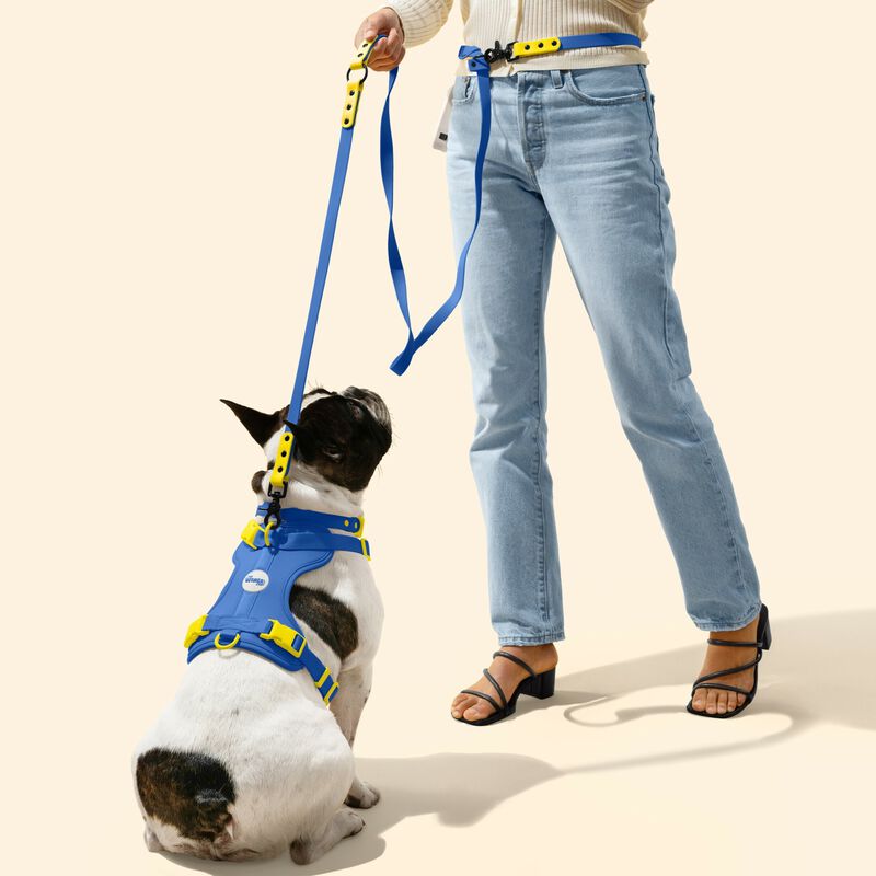 Arlo Adjustable Soft Padded No Pull Pet Harness with 3 Buckles and 3 Leash Clips