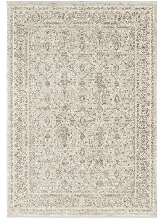 Shadows SHW04 Ivory/Gray 3'11" x 5'11" Rug