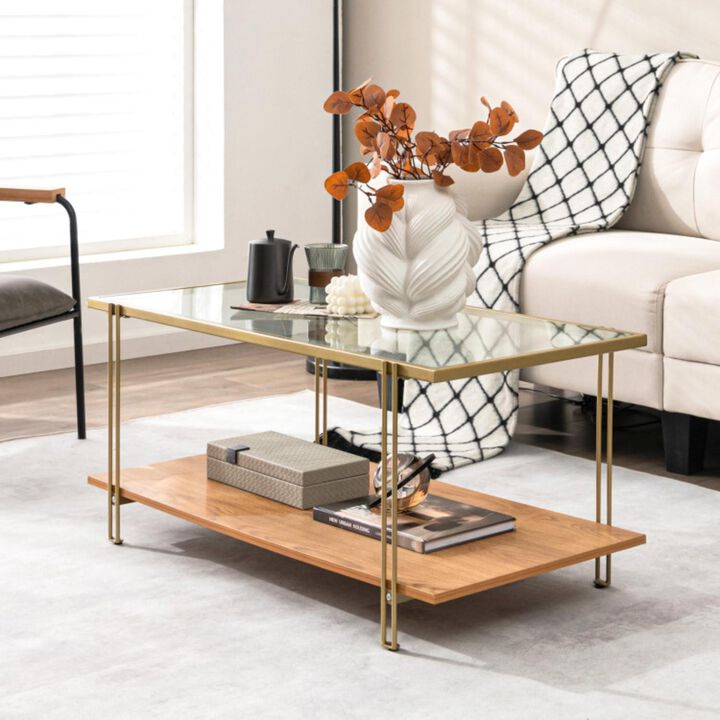 Hivvago 2 Tiers Rectangle Glass Coffee Table with White and Gold Steel Frame-Golden