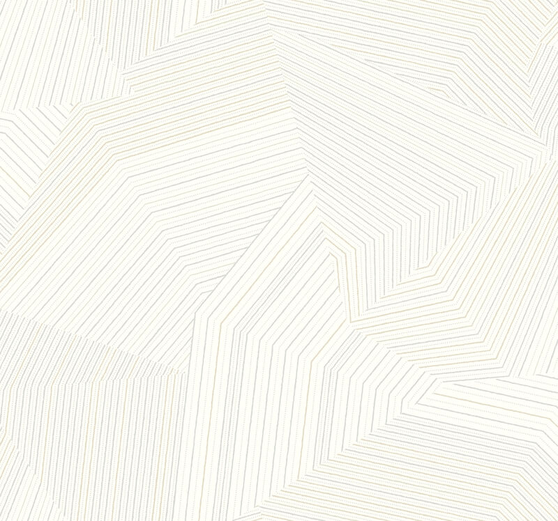 Dotted Maze Wallpaper image number 4