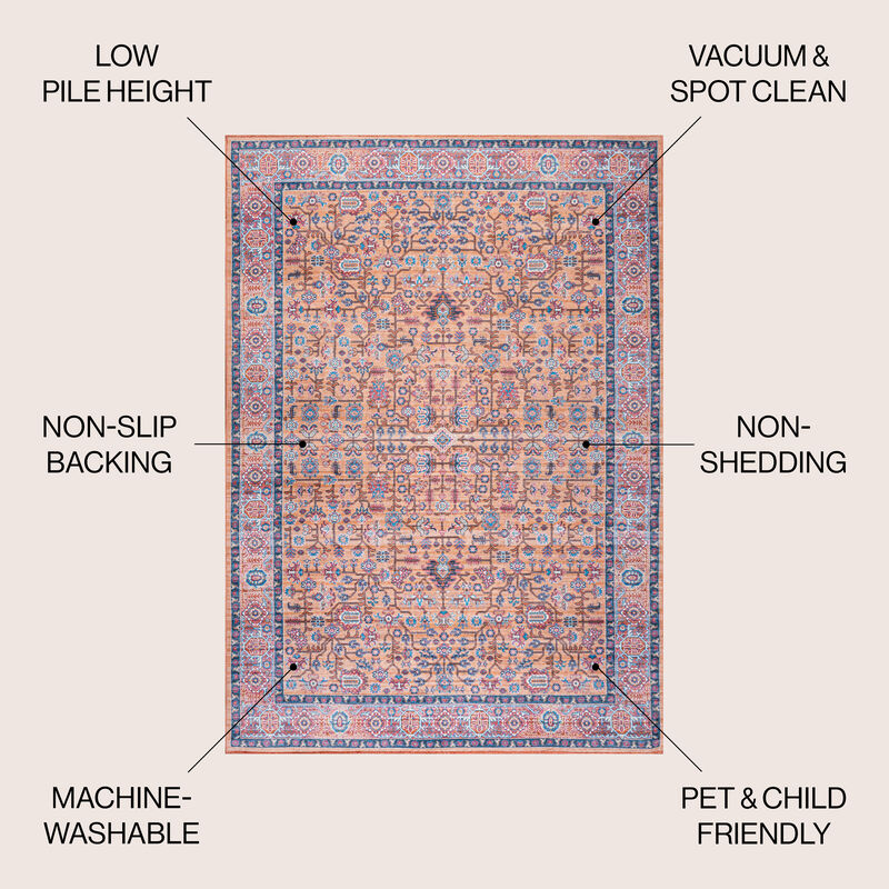 Kemer All Over Persian Washable Indoor/Outdoor Area Rug